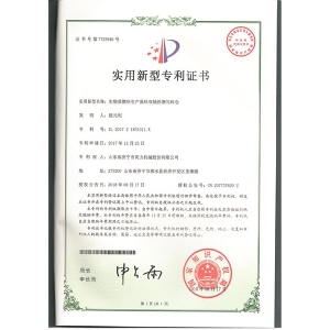 专利